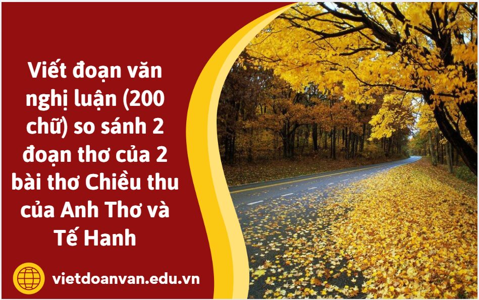 Viết đoạn văn nghị luận (200 chữ) so sánh 2 đoạn thơ của 2 bài thơ Chiều thu của Anh Thơ và Tế Hanh