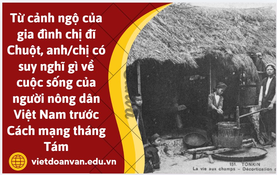 Từ cảnh ngộ của gia đình chị đĩ Chuột, anh/chị có suy nghĩ gì về cuộc sống của người nông dân Việt Nam trước Cách mạng tháng Tám? (Trình bày từ 9 – 12 dòng)