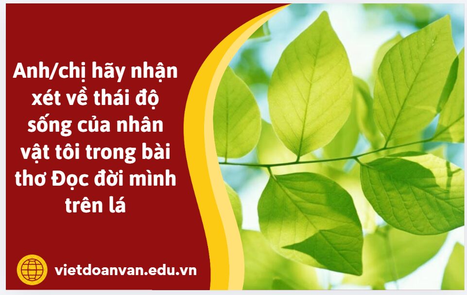 Từ ý nghĩa hai câu thơ cuối Dầu tồn tại một giây vẫn tươi niềm kiêu hãnh/Đã sinh ra, giông bão chẳng sợ gì, anh/chị hãy nhận xét về thái độ sống của nhân vật tôi trong bài thơ (trình bày khoảng 5-7 dòng)