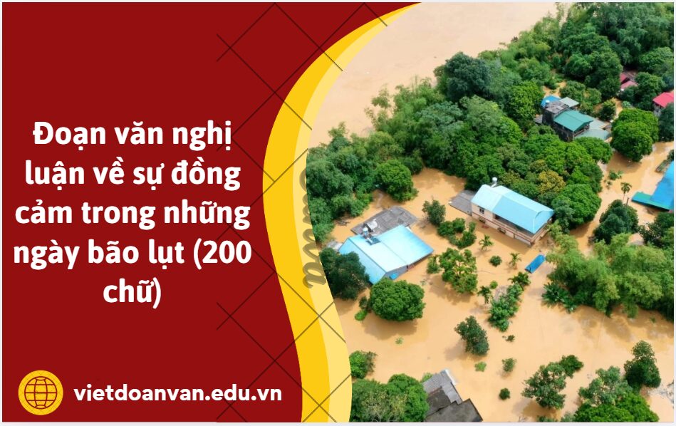 Đoạn văn nghị luận về sự đồng cảm trong những ngày bão lụt (200 chữ)