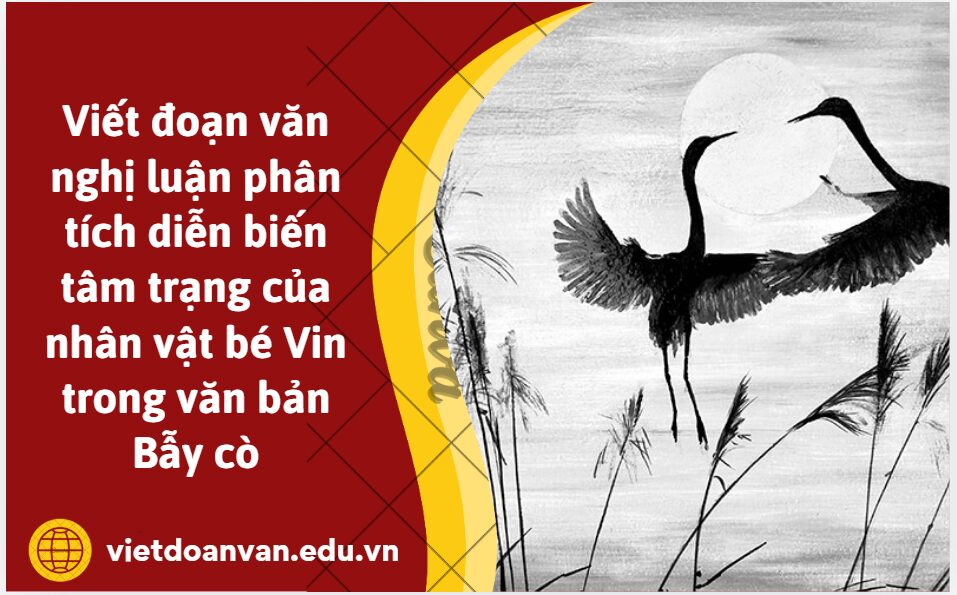 Viết đoạn văn nghị luận khoảng 200 từ phân tích diễn biến tâm trạng của nhân vật bé Vin trong văn bản Bẫy cò