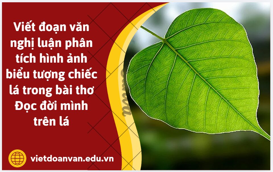 Viết đoạn văn nghị luận (khoảng 200 chữ) phân tích hình ảnh biểu tượng chiếc lá trong bài thơ Đọc đời mình trên lá của Nguyễn Minh Khiêm