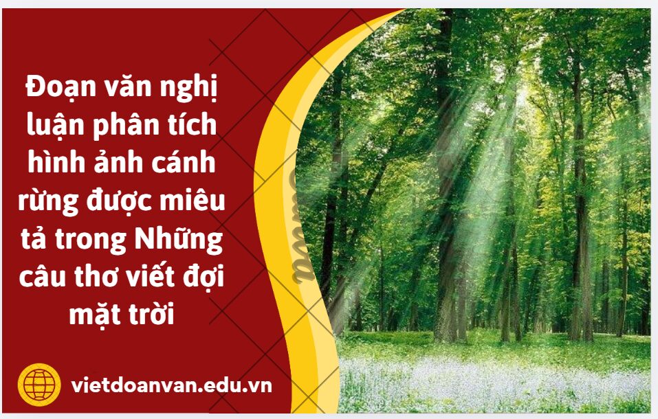 Viết đoạn văn nghị luận 200 chữ phân tích hình ảnh cánh rừng được miêu tả trong Những câu thơ viết đợi mặt trời của Hoàng Nhuận Cẩm