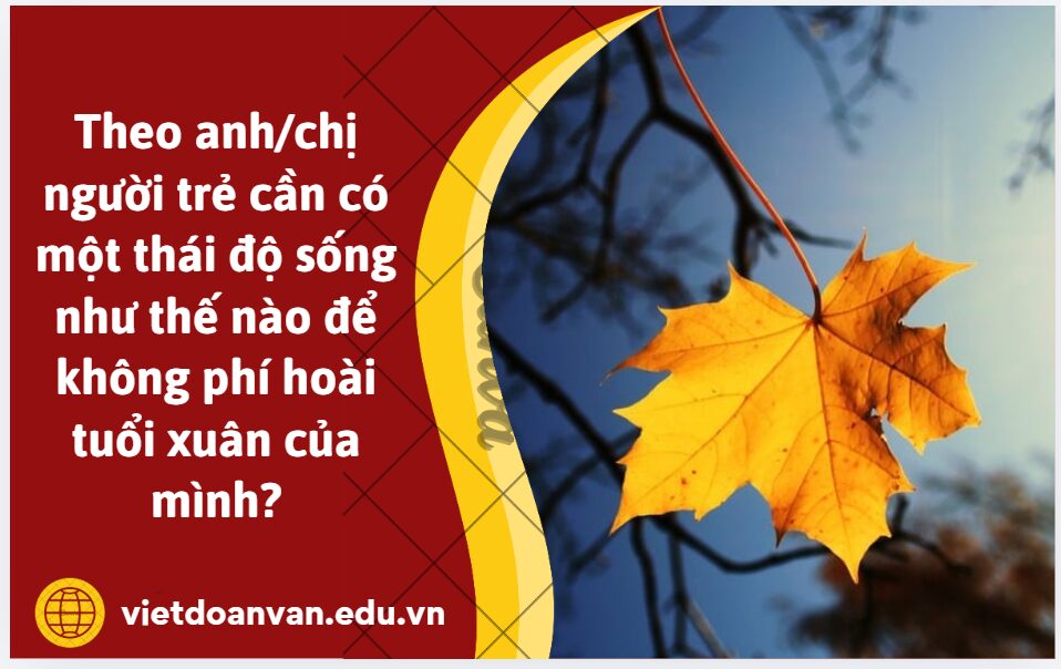 Từ thông điệp về thời gian được gợi ra trong bài Thơ lá, theo anh/chị người trẻ cần có một thái độ sống như thế nào để không phí hoài tuổi xuân của mình? (Trình bày trong khoảng 5 đến 7 dòng)