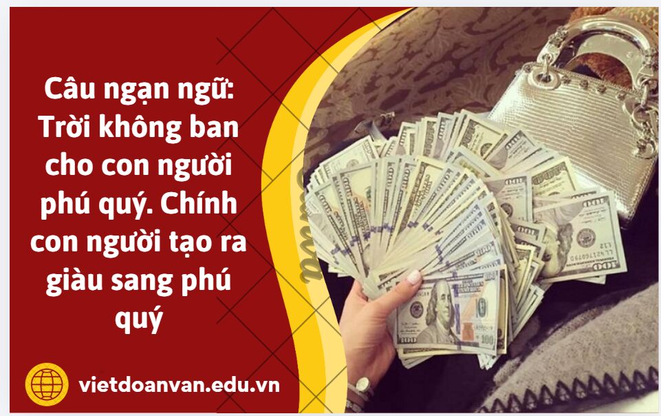 Trình bày suy nghĩ của anh/chị về câu ngạn ngữ: Trời không ban cho con người phú quý. Chính con người tạo ra giàu sang phú quý (Nêu nghĩa đen, nghĩa bóng)