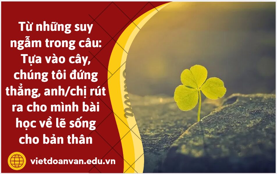 Từ những suy ngẫm của tác giả trong câu: Tựa vào cây, chúng tôi đứng thẳng, anh/chị rút ra cho mình bài học về lẽ sống cho bản thân