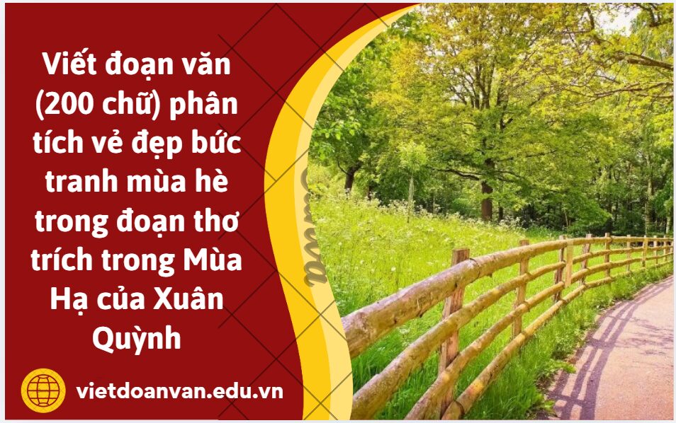 Viết đoạn văn (200 chữ) phân tích vẻ đẹp bức tranh mùa hè trong đoạn thơ trích trong Mùa Hạ của Xuân Quỳnh