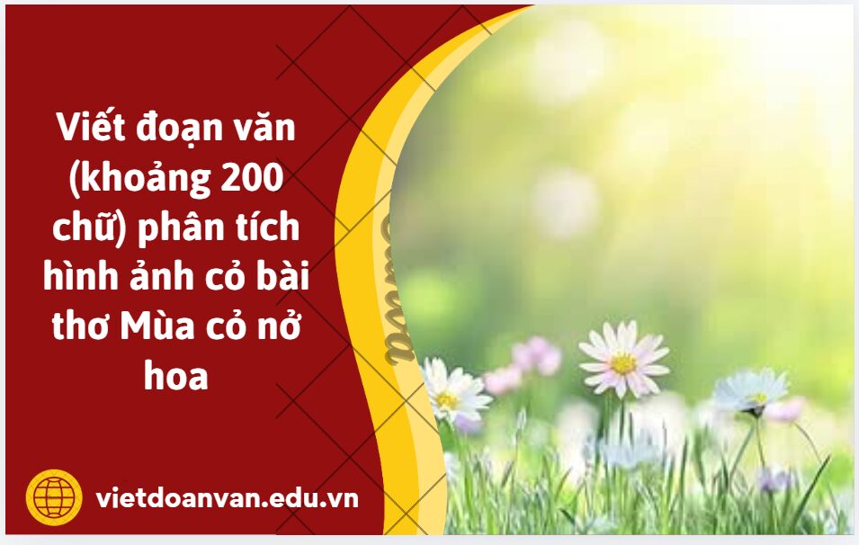 Viết đoạn văn (khoảng 200 chữ) phân tích hình ảnh cỏ bài thơ Mùa cỏ nở hoa