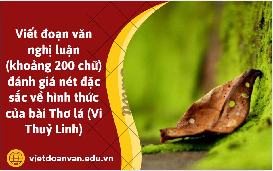 Viết đoạn văn nghị luận (khoảng 200 chữ) đánh giá nét đặc sắc về hình thức của bài Thơ lá (Vi Thuỷ Linh)