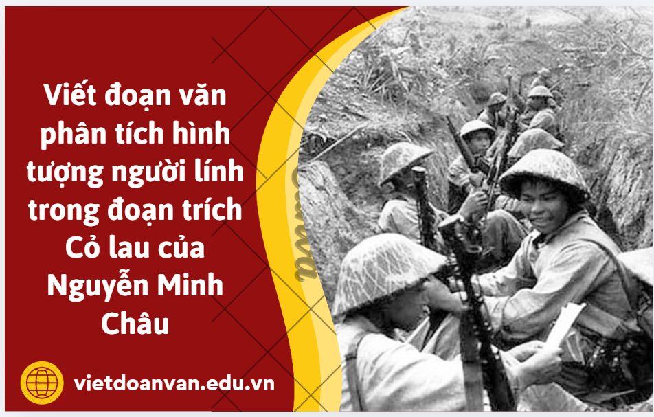 Viết đoạn văn phân tích hình tượng người lính trong đoạn trích Cỏ lau của Nguyễn Minh Châu