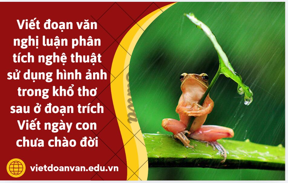 Viết đoạn văn nghị luận (khoảng 200 chữ) phân tích nghệ thuật sử dụng hình ảnh trong khổ thơ sau ở đoạn trích Viết ngày con chưa chào đời