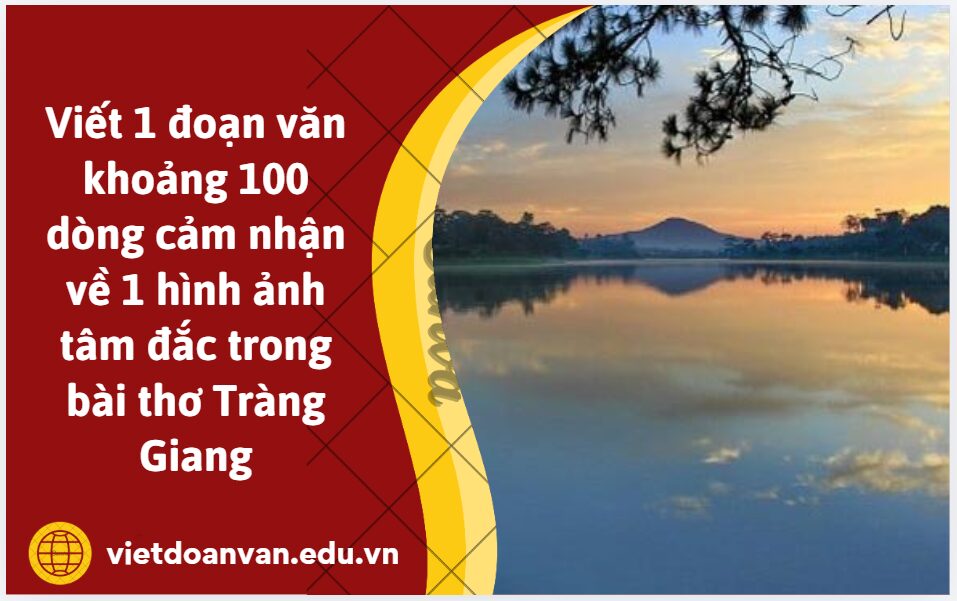 Viết 1 đoạn văn khoảng 100 dòng cảm nhận về 1 hình ảnh tâm đắc trong bài thơ Tràng Giang