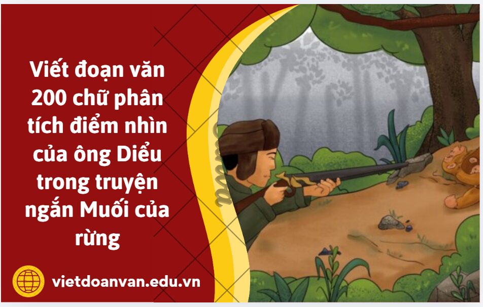 Viết đoạn văn 200 chữ phân tích điểm nhìn của ông Diểu trong truyện ngắn Muối của rừng