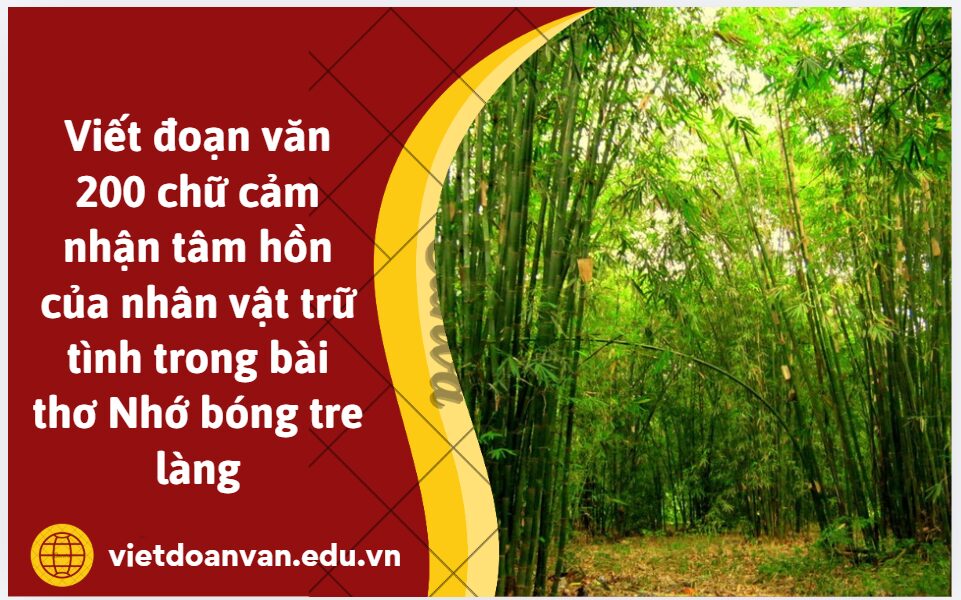 Viết đoạn văn 200 chữ cảm nhận tâm hồn của nhân vật trữ tình trong bài thơ Nhớ bóng tre làng