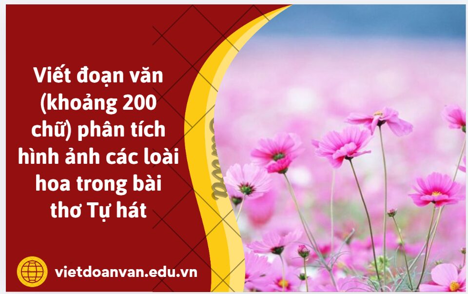 Viết đoạn văn (khoảng 200 chữ) phân tích hình ảnh các loài hoa trong bài thơ Tự hát