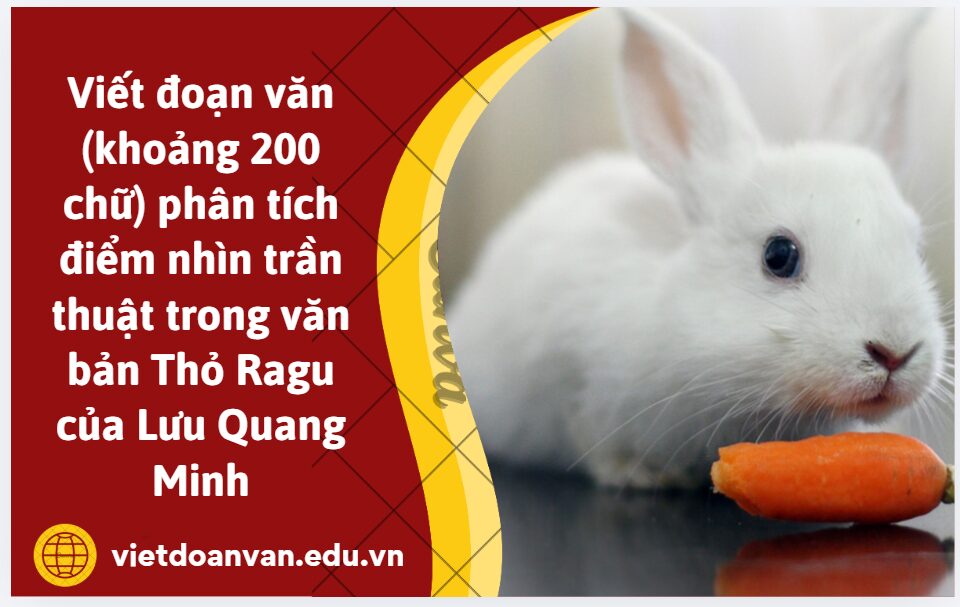 Viết đoạn văn (khoảng 200 chữ) phân tích điểm nhìn trần thuật trong văn bản Thỏ Ragu của Lưu Quang Minh