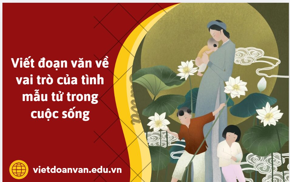 Viết đoạn văn về vai trò của tình mẫu tử trong cuộc sống