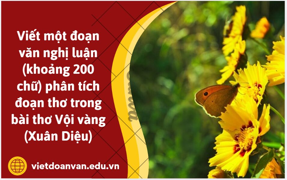 Viết một đoạn văn nghị luận (khoảng 200 chữ) phân tích đoạn thơ trong bài thơ Vội vàng (Xuân Diệu)